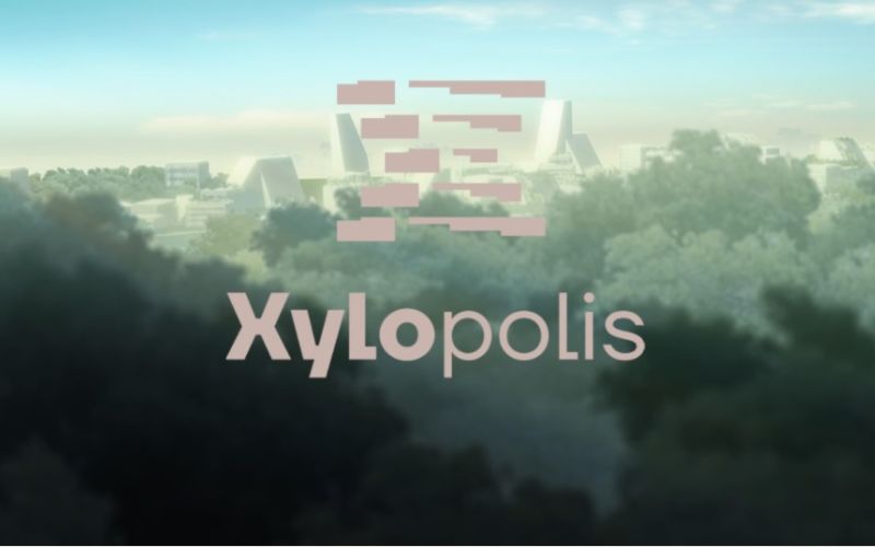 Unitalent, projekt Xylopolis i Dubai